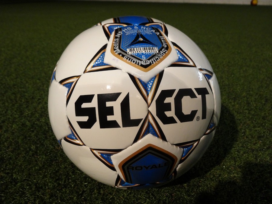 Reviews of Select Soccer Balls - The Instep