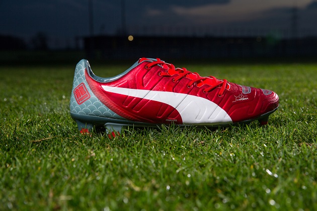 puma evo power 1.2