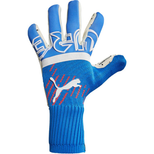 PUMA Future Z Grip 1 Hybrid Cut Goalkeeper Gloves – Faster Forward