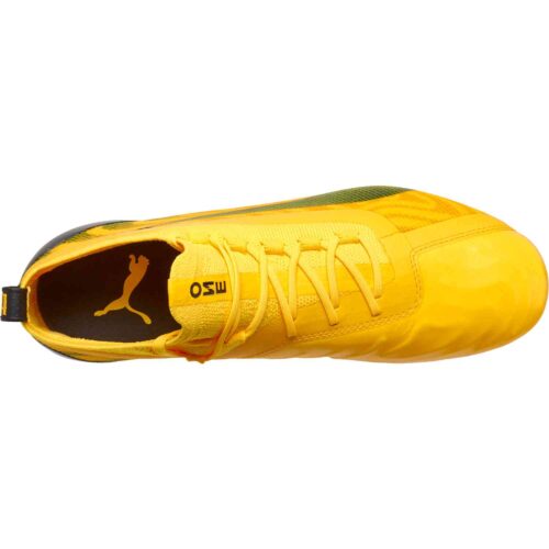 Puma One 20.1 FG – Spark Pack