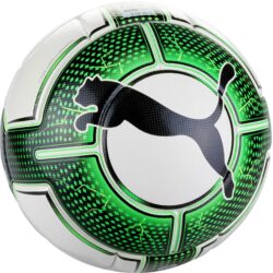 Puma evoPOWER Vigor 1.3 Match Ball 
