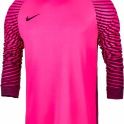 Nike Goalkeeper Shirts