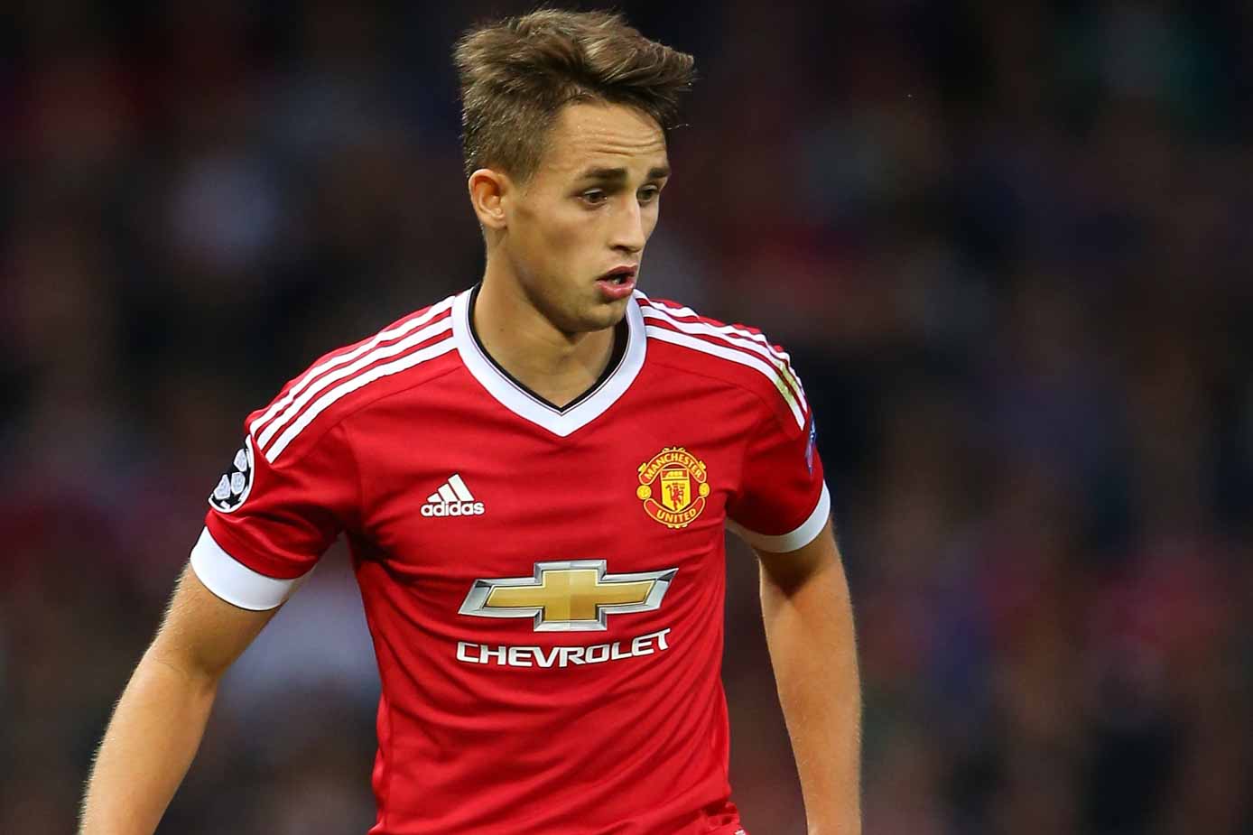 januzaj jersey