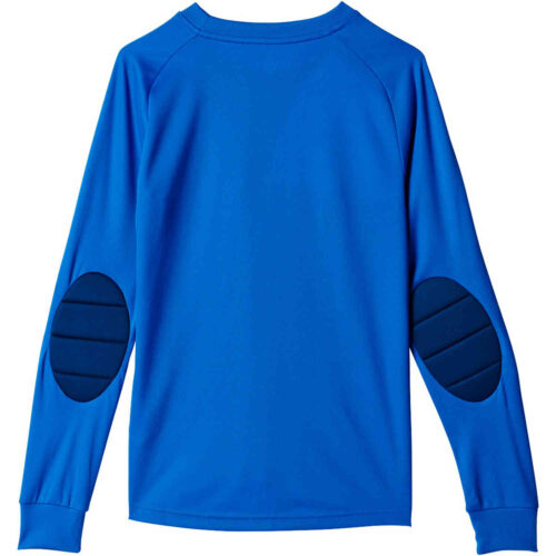 Kids adidas Assita 17 L/S Goalkeeper Jersey – Blue