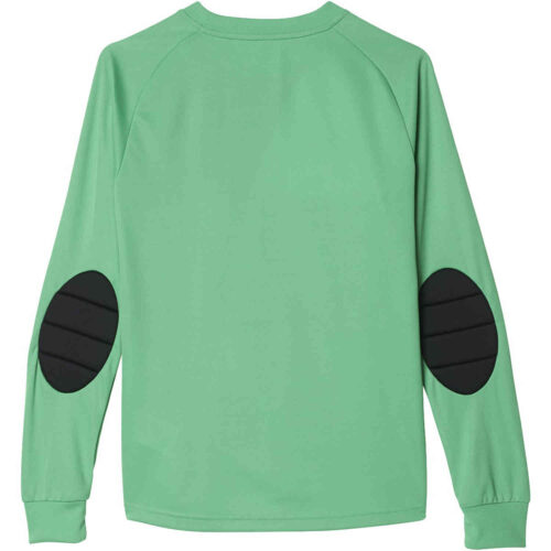 Kids adidas Assita 17 L/S Goalkeeper Jersey – Energy Green