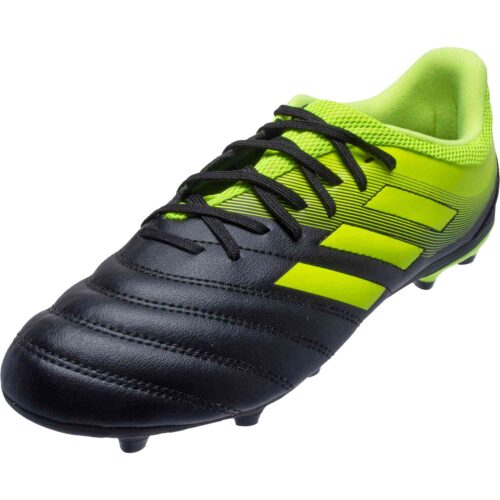 adidas copa 19.3
