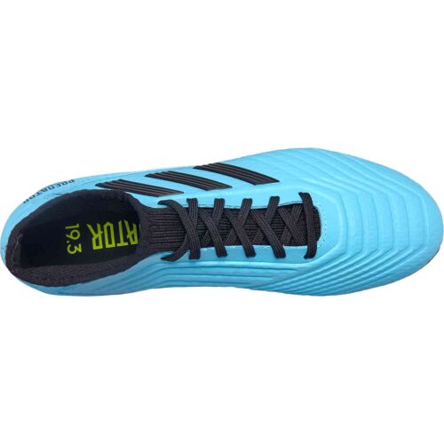 adidas Predator 19.3 FG – Hard Wired