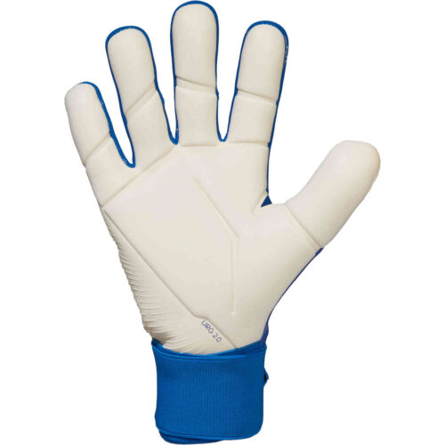 adidas Predator Competition Goalkeeper Gloves – Sapphire Edge
